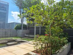 Residences @ Killiney (D9), Apartment #460173181